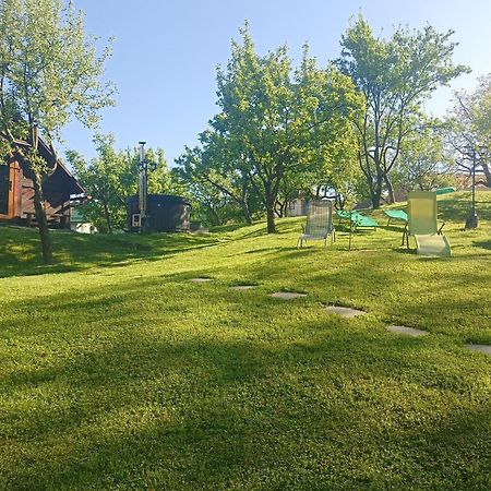 Pensiunea Verde Baia Sprie Exterior foto