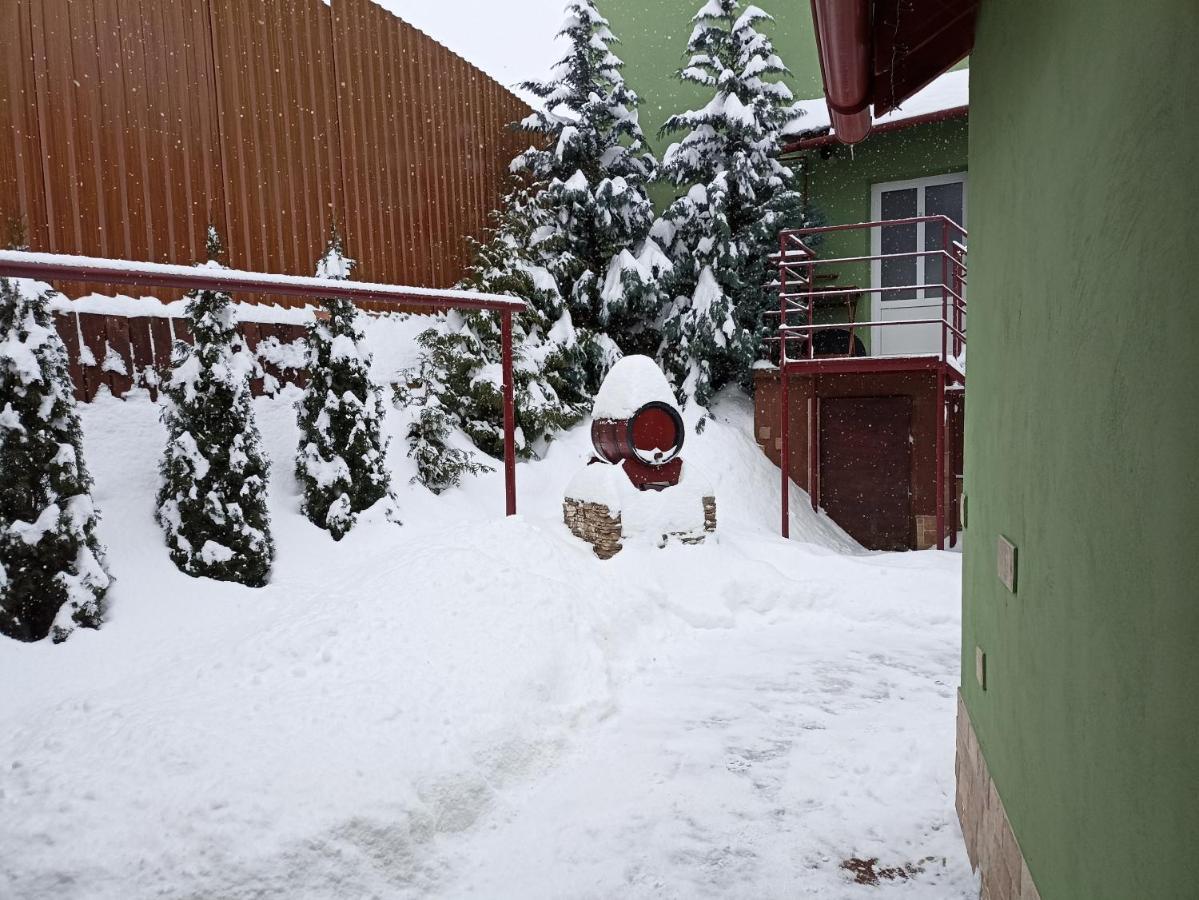 Pensiunea Verde Baia Sprie Exterior foto