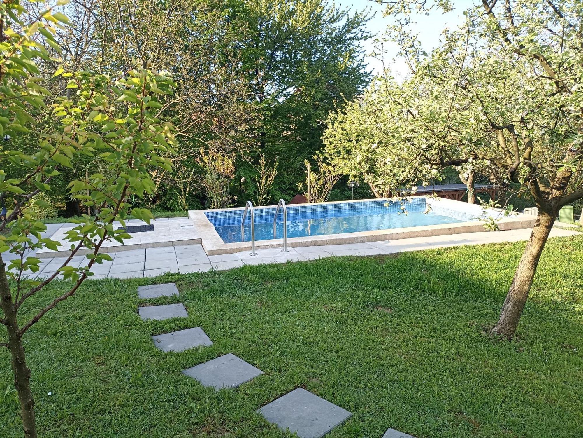 Pensiunea Verde Baia Sprie Exterior foto