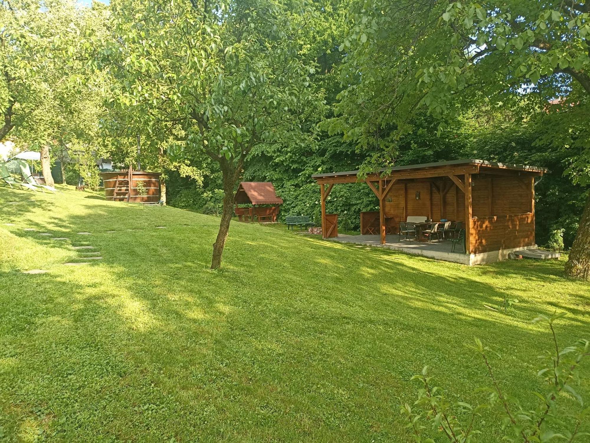 Pensiunea Verde Baia Sprie Exterior foto