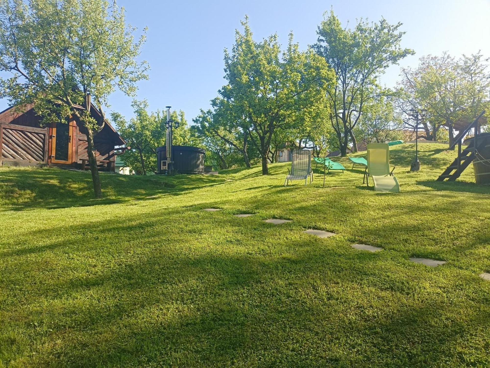 Pensiunea Verde Baia Sprie Exterior foto