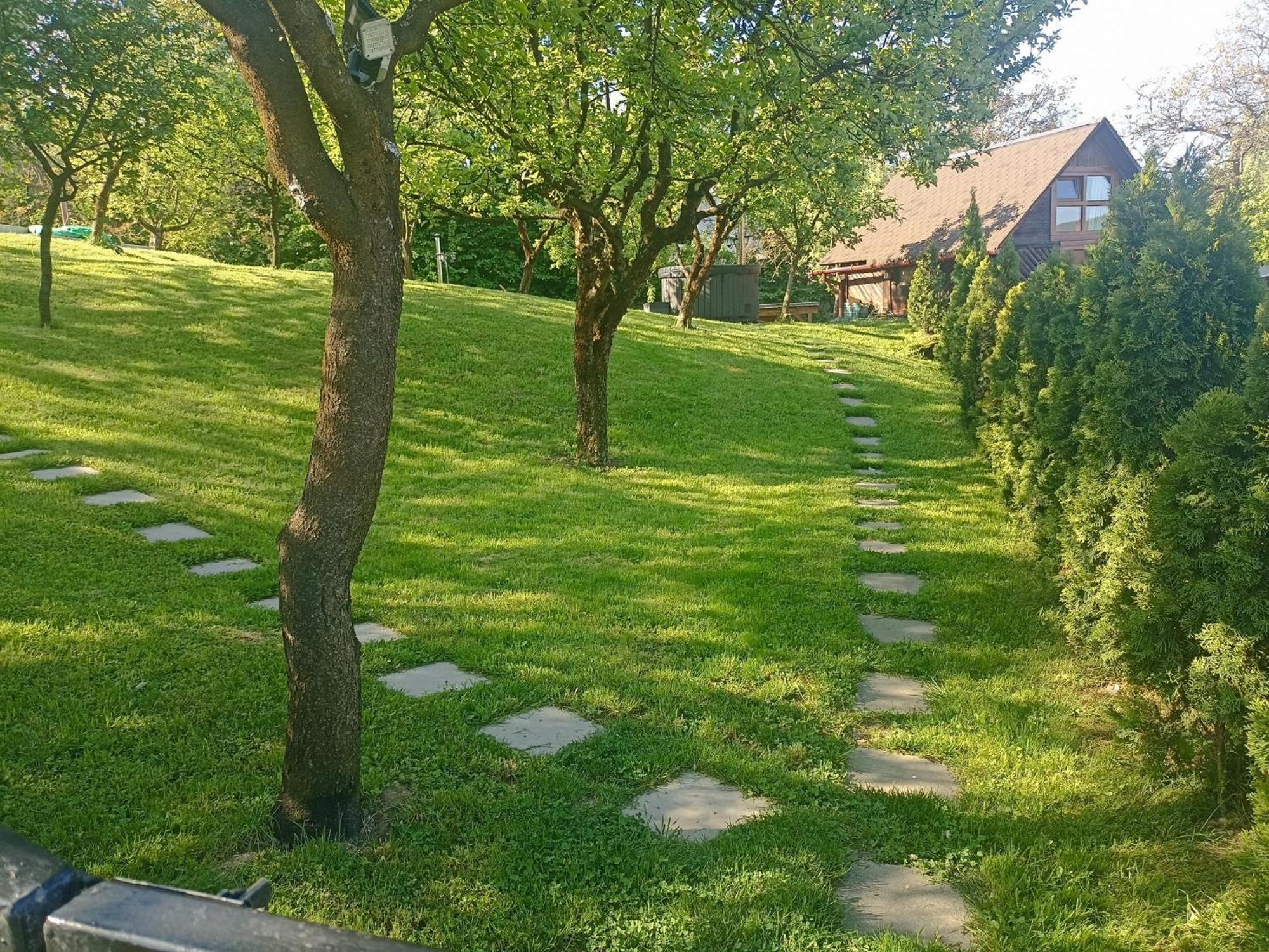 Pensiunea Verde Baia Sprie Exterior foto