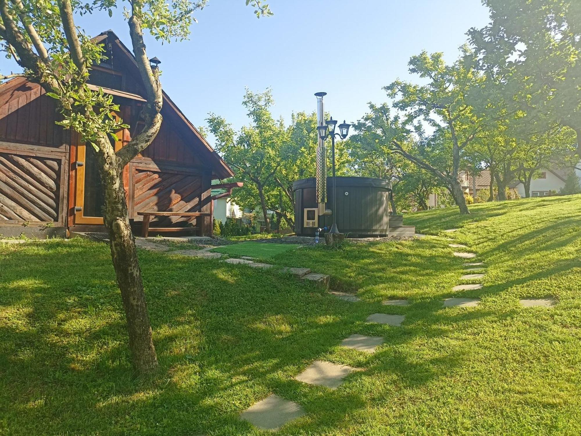 Pensiunea Verde Baia Sprie Exterior foto