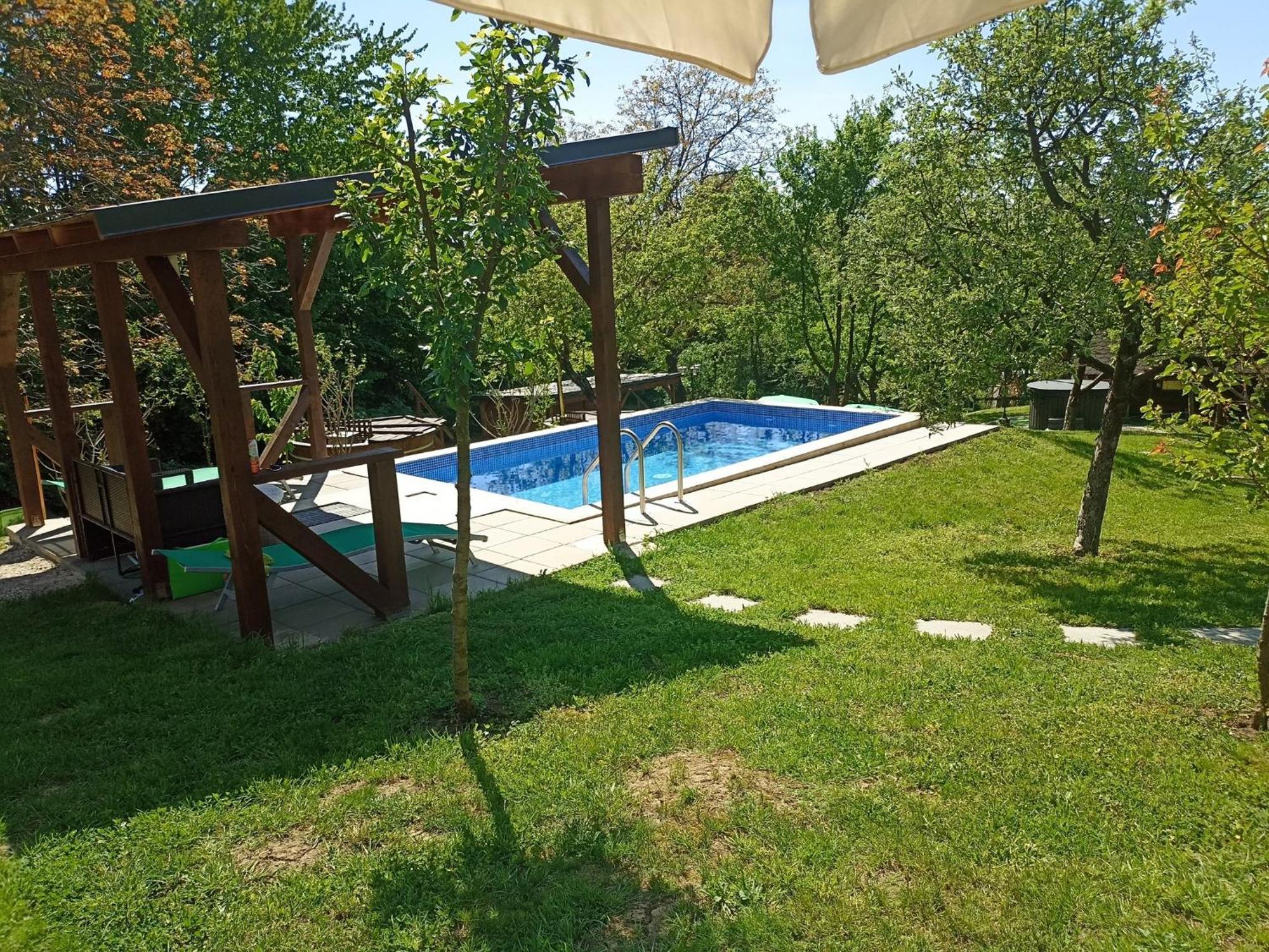 Pensiunea Verde Baia Sprie Exterior foto