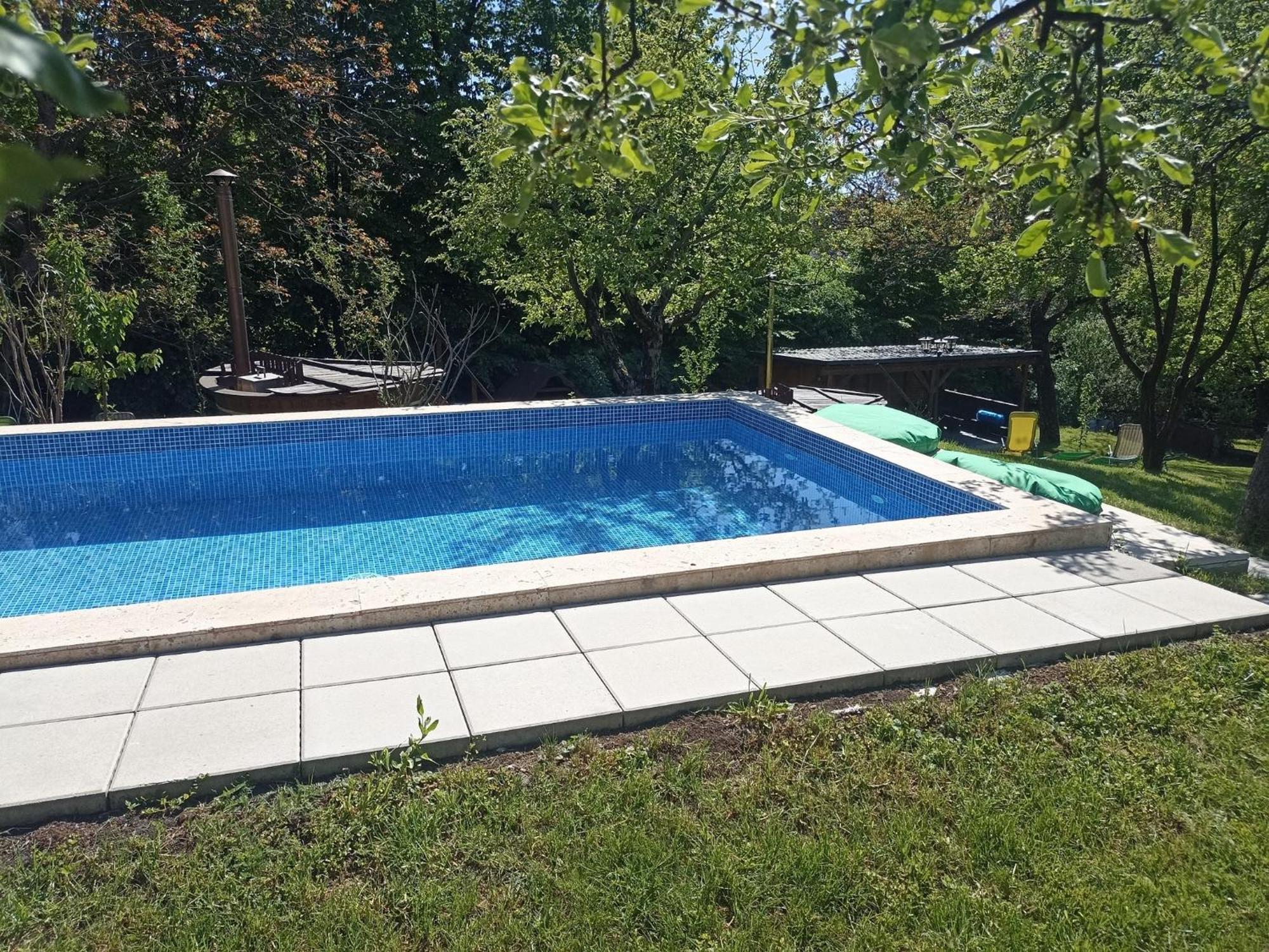 Pensiunea Verde Baia Sprie Exterior foto