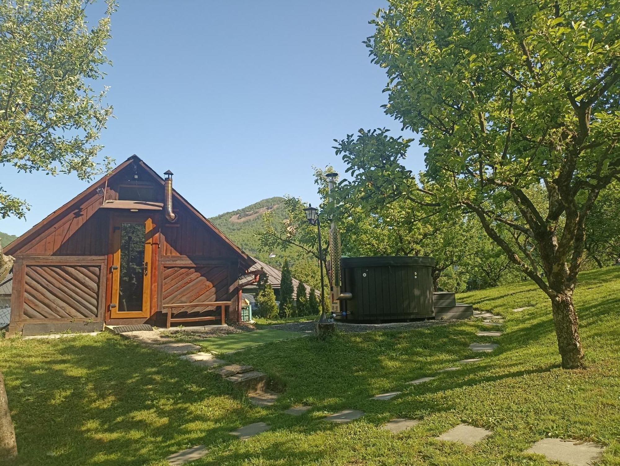 Pensiunea Verde Baia Sprie Exterior foto